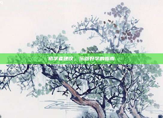 初学者建议,乐器好学的指南