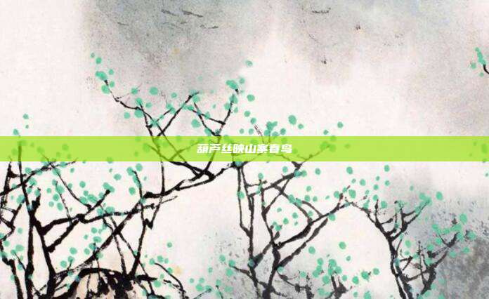 葫芦丝映山寨春鸟