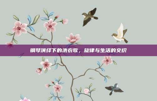 钢琴演绎下的洗衣歌，旋律与生活的交织