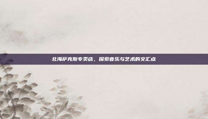 北海萨克斯专卖店，探索音乐与艺术的交汇点