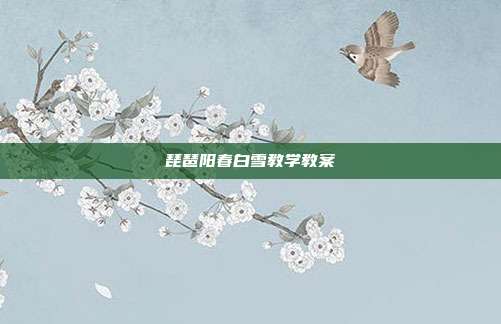 琵琶阳春白雪教学教案