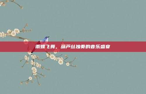 雨蝶飞舞，葫芦丝独奏的音乐盛宴