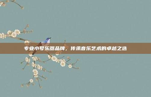 专业小号乐器品牌，传承音乐艺术的卓越之选
