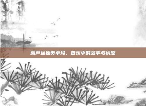 葫芦丝独奏卓玛，音乐中的故事与情感