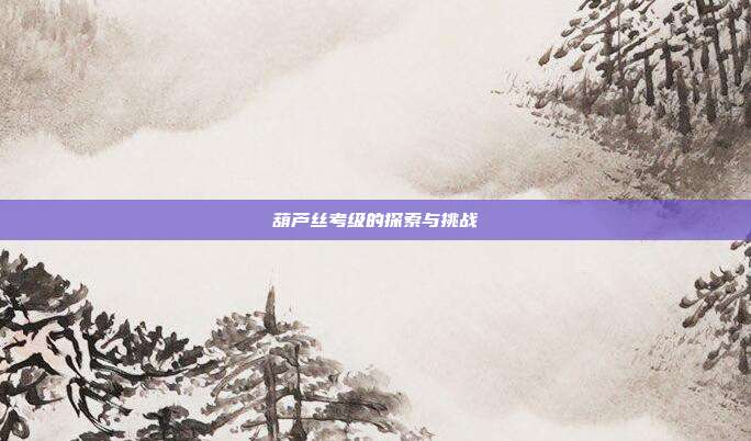 葫芦丝考级的探索与挑战