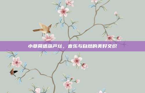 小草简谱葫芦丝，音乐与自然的美好交织