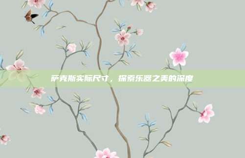 萨克斯实际尺寸，探索乐器之美的深度