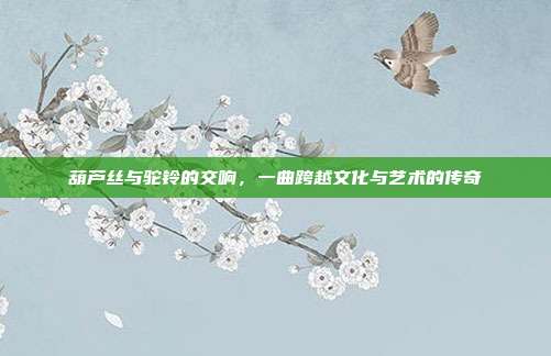葫芦丝与驼铃的交响，一曲跨越文化与艺术的传奇