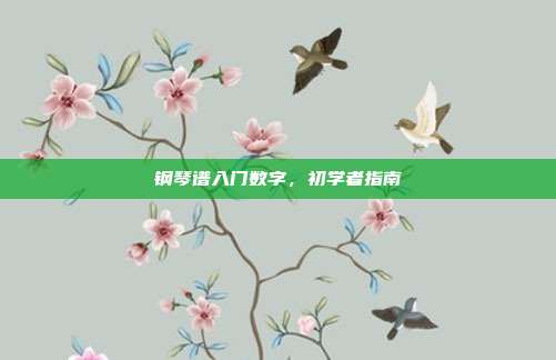 钢琴谱入门数字，初学者指南