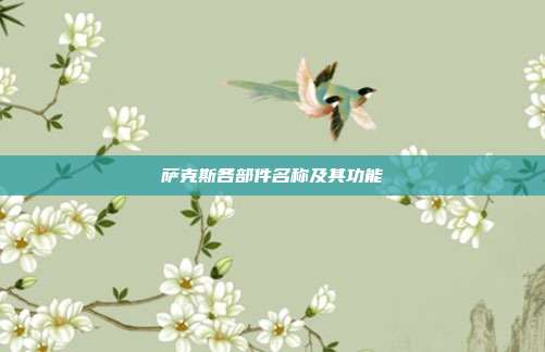 萨克斯各部件名称及其功能