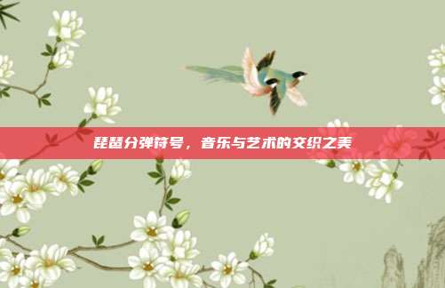 琵琶分弹符号，音乐与艺术的交织之美