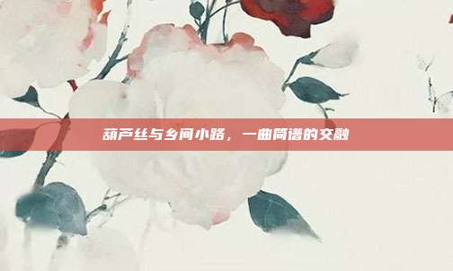 葫芦丝与乡间小路，一曲简谱的交融