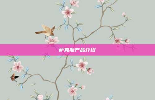 萨克斯产品介绍