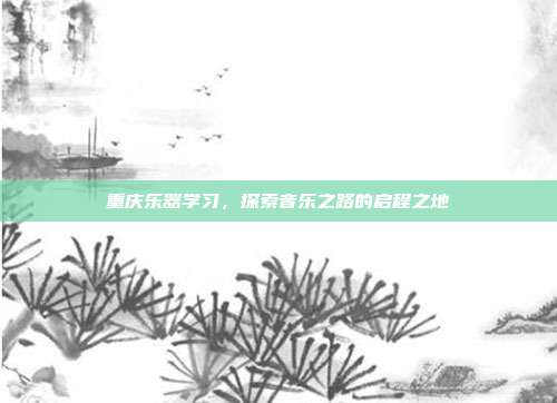 重庆乐器学习,探索音乐之路的启程之地