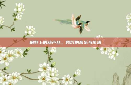 田野上的葫芦丝，我们的音乐与传承