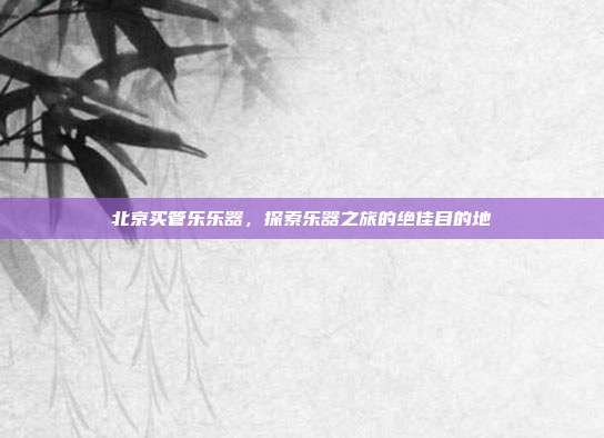 北京买管乐乐器，探索乐器之旅的绝佳目的地