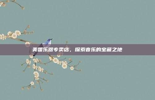 美国乐器专卖店，探索音乐的宝藏之地