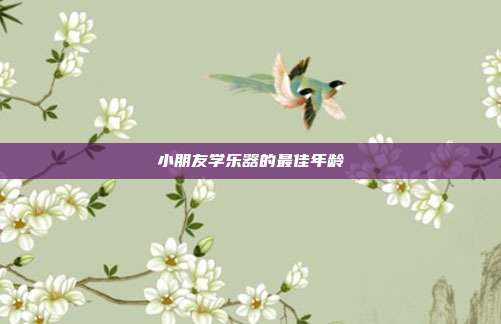 小朋友学乐器的最佳年龄