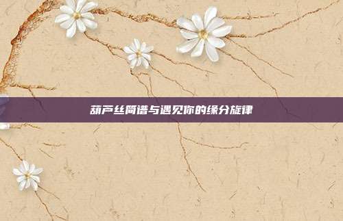 葫芦丝简谱与遇见你的缘分旋律