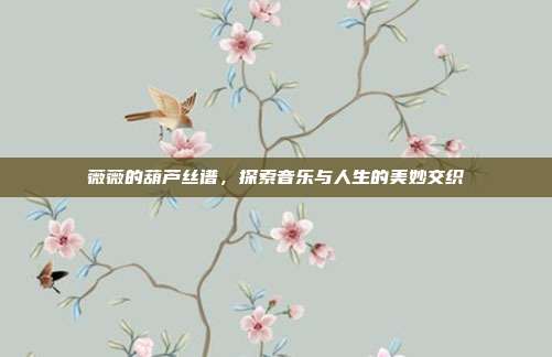 薇薇的葫芦丝谱,探索音乐与人生的美妙交织