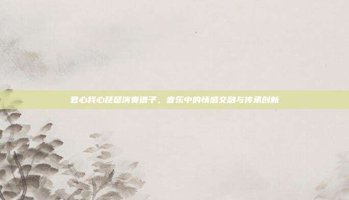 君心我心琵琶演奏谱子，音乐中的情感交融与传承创新