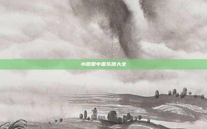 小器型中国乐器大全
