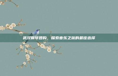 武汉钢琴团购,探索音乐之旅的最佳选择