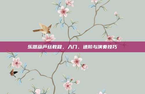 乐器葫芦丝教程，入门、进阶与演奏技巧